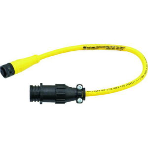 Asada P[uA_v^4P3Pki:TF032ly1523433:0z[ʓrς][fO][Xs]