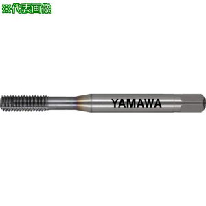 �����}�� �V���[�g�`�����t�@�g���N���X���[���^�b�v SC-TL-RZ G5 M3X0.5 1P�k�i��:SCTLRZG5M3X0.51P�l�y1528644:0�z[�X�����s��]