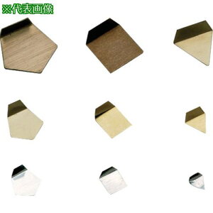 VIBRA F2PSO-200M:󕪓 OIML^(񎥐XeX) 200MG F2ki:F2PSO200Mly1529800:0z[ʓrς][@lEƏ][O][Xs]