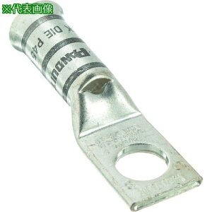 ��PANDUIT �������k�[�q 1�� �R�l��d���}���� �d���T�C�Y 600 kcmil ��t���T�C�Y 135mm LCAF600-12-6�k�i��:LCAF600126�l�y1577329:0�z[�����ʓr���ς�][�@�l�E���Ə�����][�f�O���][�X�����s��]