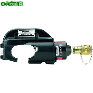 PANDUIT 蓮kH(7.7g) _C^Cv Nvwbĥ CT-930LPCHki:CT930LPCHly1580372:0z[ʓrς][@lEƏ][fO][Xs]