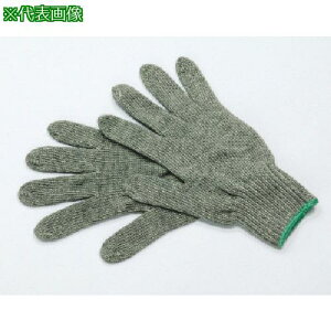 ~hS ϔMp܁ki:MGT100ly1595889:0z[Xs]