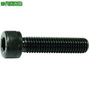 ���R�m�G �Z�p���t�{���g�S�˂� M22x60(12�{��)�k�i��:CS2260�l�y1596278:0�z[�����ʓr���ς�][�X�����s��]