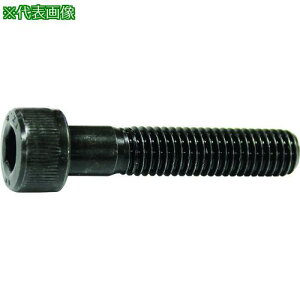 ���R�m�G �Z�p���t�{���g���˂� M8x110(50�{��)�k�i��:CS08110�l�y1596295:0�z[�����ʓr���ς�][�X�����s��]