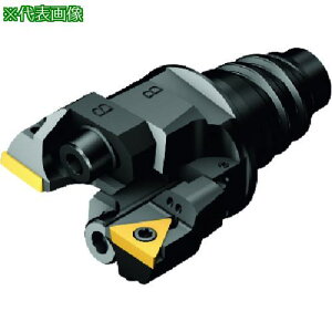 ��SANDVIK �R���{�ABR20(530)�k�i��:BR2036TC09FEH25�l�y1616225:0�z[�����ʓr���ς�][�f�O���][�X�����s��]