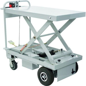 TR[ ~tgtdAVXgԁki:EPLFTUP4ly1620027:0z[ʓrς][fO][Xs]