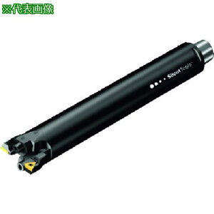 ��SANDVIK �R���{�ABR20(530)�k�i��:BR20D45TC11FC3L�l�y1624038:0�z[�����ʓr���ς�][�f�O���][�X�����s��]