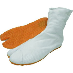 i C-Ղ肽 2^(}WbN)  21.5cmki:MATURI2MW21.5ly1626824:0z[ʓrς][fO][Xs]