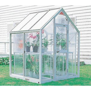 PiCa pۉJ[eki:WP25HKAly1627342:0z[ʓrς][@lEƏ][O][Xs]