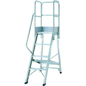 PiCa DWSpKiЎ肷VOki:DWSTE5Bly1627367:0z[ʓrς][@lEƏ][][Xs]