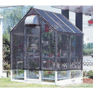 PiCa 悯pCvki:WP05SPAly1627383:0z[ʓrς][@lEƏ][O][Xs]