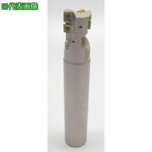 ���C�X�J�� �w���N�A�b�h �G���h�~�� E90XC�k�i��:E90XCD2022C2006�l�y1629301:0�z[�����ʓr���ς�][�@�l�E���Ə�����][�f�O���][�X�����s��]