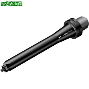 ��SANDVIK �R���{�ABR20�T�C�����g�c�[�� �A�_�v�^(530)�k�i��:C5BR20DD323�l�y1664103:0�z[�����ʓr���ς�][�f�O���][�X�����s��]