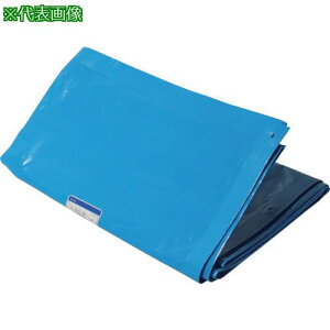 ������ �^�[�s�[ CSR2�N�V�[�g 1.8MX2.7M�k�i��:CSR21827�l�y1670177:0�z[�X�����s��]