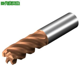 ��SANDVIK �R���~��CoroMill[[R��]]Plura �����葤�ʃt���C�X���H�p���d�G���h�~��(730) 1710�k�i��:2F3411600200SC�l�y1679898:0�z[�����ʓr���ς�][�f�O���][�X�����s��]