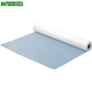 ��MF �T���L�|���V�[�g 0.2×1350×50(F20-061)�s2�{���t�k�i��:SK025�l�y1681595×2:0�z[�����ʓr���ς�][�@�l�E���Ə�����][�O����][�X�����s��]