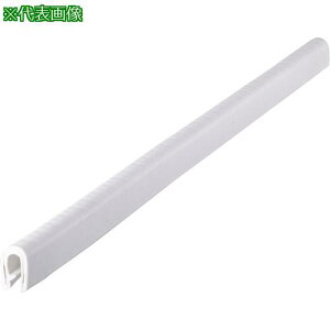 ��IWATA �g���� 100�V���[�YTPE 30M�k�i��:100-48-W-5T-L30�l�y1721152:0�z[�@�l�E���Ə�����][������][�X�����s��]
