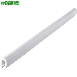 ��IWATA �g���� 100�V���[�YTPE (15M��)�k�i��:100-64-W-1T�l�y1735243:0�z[�@�l�E���Ə�����][�O������][�X�����s��]