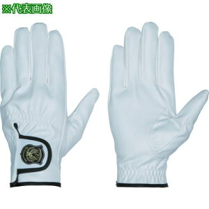 yMG[X |XWp G202N STCYs10otki:G202NWSly1753210×10:0z[ʓrς][@lEƏ][O][Xs]