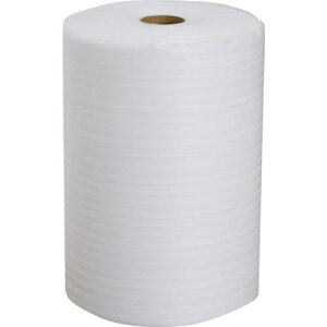 ~i A|G`V[g ~itH[ Xbg[i 500mm×100ms6{tki:MF110500ly1772628×6:0z[@lEƏ][O][Xs]