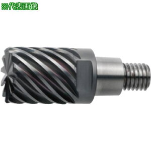 ���O�H 12���n���މ��H�p ���d���n���U���W�A�X�w�b�h25mm (�R�[�g�i) EP7020�k�i��:IMX25C12HV250R10025�l�y1786983:0�z[�X�����s��]