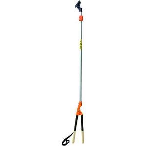 jVKL ېLkki:N160ly1787894:0z[ʓrς][@lEƏ][O][Xs]