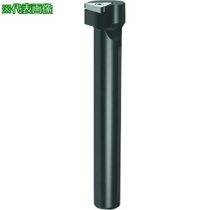 ��GUHRING �a����H�� �ۃV�����N�z���_�E���a���H�p �O������ ���M����- GB305.0750.600.90.04.R�k�i��:2536812.021�l�y1804276:0�z[�����ʓr���ς�][�@�l�E���Ə�����][�f�O���][�X�����s��]
