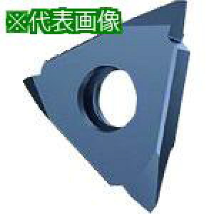 GUHRING aH CT[g Oa˂؂ 炢nȂ [g˂p FIRER[g GG305.TM00.125.AA.04.Ls2{tki:2565512.020ly1806043×2:0z[ʓrς][fO][Xs]