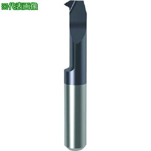 ��GUHRING �a����H�� �C���T�[�g ���a�˂��؂� ���炢�n�Ȃ� ���[�g�����ڂ˂��p nanoA�R�[�g GG106.TM08.125.22.68.L�k�i��:257676.002�l�y1806061:0�z[�����ʓr���ς�][�@�l�E���Ə�����][�f�O���][�X��