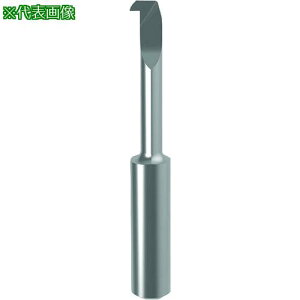 ��GUHRING �a����H�� �C���T�[�g ���a���H�p(�������H�p) GT106.3247.020.32.50.R�k�i��:258626.050�l�y1812410:0�z[�����ʓr���ς�][�@�l�E���Ə�����][�f�O���][�X�����s��]