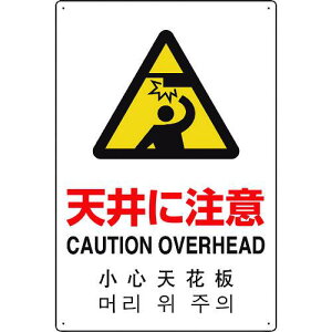 jbg 4JW ^CvVɒӁki:802911ly1840299:0z[ʓrς][fO][Xs]