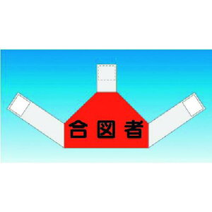  iҕ\[bP wʗp }ҁki:TY202Ely1851179:0z[ʓrς][fO][Xs]