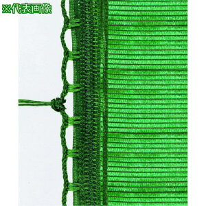 en TSHՌlbg 2M×10Ms5tki:TSSHUV0210GRly1933506×5:0z[ʓrς][@lEƏ][O][Xs]