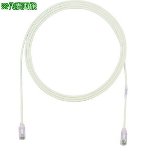 ��PANDUIT �J�e�S��6�׌a�p�b�`�R�[�h 20m �p�X�e���O���[�� UTP28SP20MPG�k�i��:UTP28SP20MPG�l�y1950546:0�z[�X�����s��]