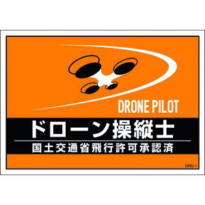 Ώ\ ݎSxXgp䎆 h[cm IW DRD-1 210×297mm 2g ki:237216ly1952928:0z[Xs]