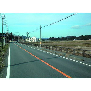 ���ϐ� �Z�C�t�e�C�p�C�vTP-8P2-30C �`���C��55 �V�`���E�J���J�N=3000 H=800�k�i��:TP8P230C�l�y1952994:0�z[�����ʓr���ς�][�@�l�E���Ə�����][����][�X�����s��]