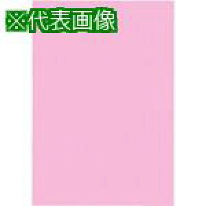 JTX 860250)Fp 4c10  P144J-17ki:P144J17ly1958547:0z[ʓrς][fO][Xs]