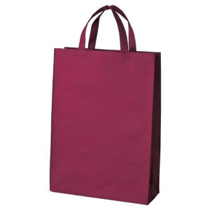 ��JTX 871062)�s�D�z��񂰃o�b�O��10�����C�� B451J-WN�k�i��:B451JWN�l�y1960054:0�z[�����ʓr���ς�][�f�O���][�X�����s��]