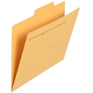 PLUS 294643)ʃtH_[ FL-066IF A5E  10 ki:FL066IFYL10ly1970804:0z[ʓrς][fO][Xs]