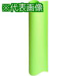 JTX 831169)͑506EOCX P150J-G6ki:P150JG6ly1972702:0z[ʓrς][fO][Xs]