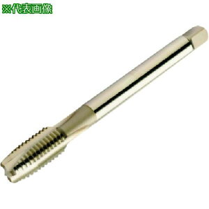 ��SANDVIK �R���^�b�v200 �|�C���g�^�b�v(780) B125�k�i��:T200NM101DAM16�l�y1978965:0�z[�����ʓr���ς�][�X�����s��]