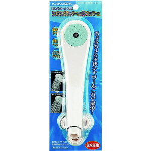 KAKUDAI ᐅpV[wbh//N[ki:356200Cly1981859:0z[ʓrς][fO][Xs]