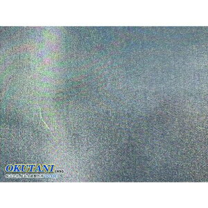 OKUTANI SUS316D 0.025pC×500bV 1000ki:TW3160.0255001000ly1985576:0z[ʓrς][@lEƏ][O][Xs]