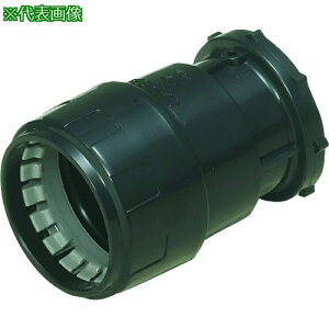 ������ �R���r�l�[�V�����J�b�v�����O�k�i��:FEGP65DB�l�y1988742:0�z[�����ʓr���ς�][�f�O���][�X�����s��]
