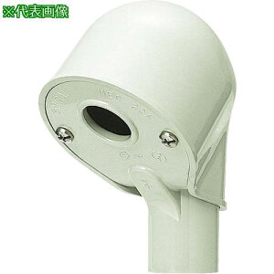 ������ �G���g�����X�L���b�v(1��)�k�i��:MEC22AM�l�y1993822:0�z[�����ʓr���ς�][�f�O���][�X�����s��]