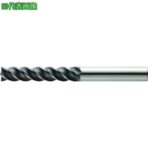 ��MOLDINO ���d�X�N�G�A�G���h�~�� SUS�t�B�j�b�V��EPSFL4090-PN�k�i��:EPSFL4090PN�l�y1996040:0�z[�X�����s��]