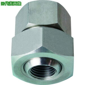 ���������� �{�[���W���C���g UT�V���[�Y �X�e�����X�|303�� �l�W1/2���X×1/2���X�k�i��:UT12FX12FS303�l�y1998632:0�z[�����ʓr���ς�][�@�l�E���Ə�����][�O����][�X�����s��]