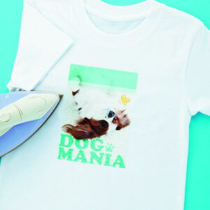 SANWA CNWFbgɋACvg(zp)ki:JPTPRTYNly2008790:0z[ʓrς][fO][Xs]