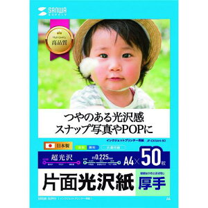 SANWA CNWFbgʐ^pEki:JPEK5A450ly2010293:0z[ʓrς][fO][Xs]