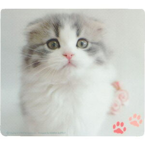 SANWA }EXpbh(XReBbVtH[h)ki:MPD215Ely2031270:0z[ʓrς][fO][Xs]